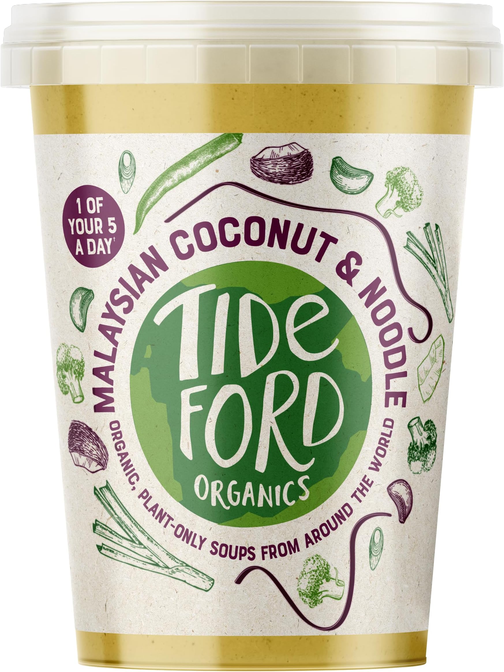 Tideford Organics Soup Malaysian Coconut & Noodle, 560g