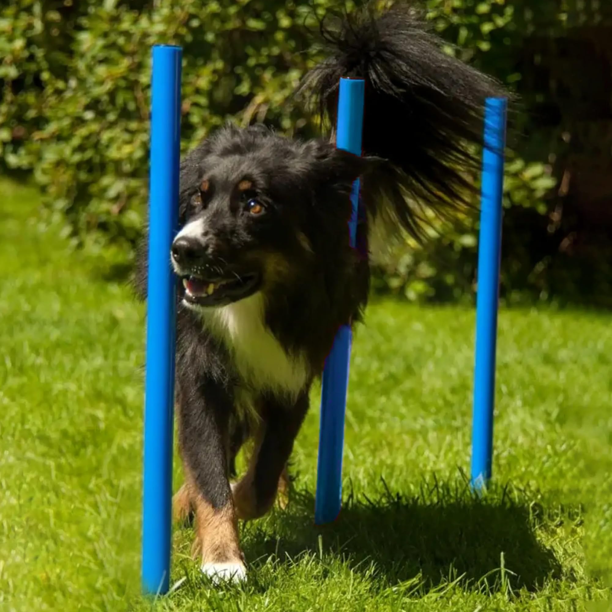 Lemodo Hunde Agility‑Set 12 Slalom‑Stangen, wetterfestes Slalom‑Set für Hundesport und Fußball, Agility‑Training, Hundetraining, Slalomstangen mit Metallspießen und Aufbewahrungstasche, Agility-Poles