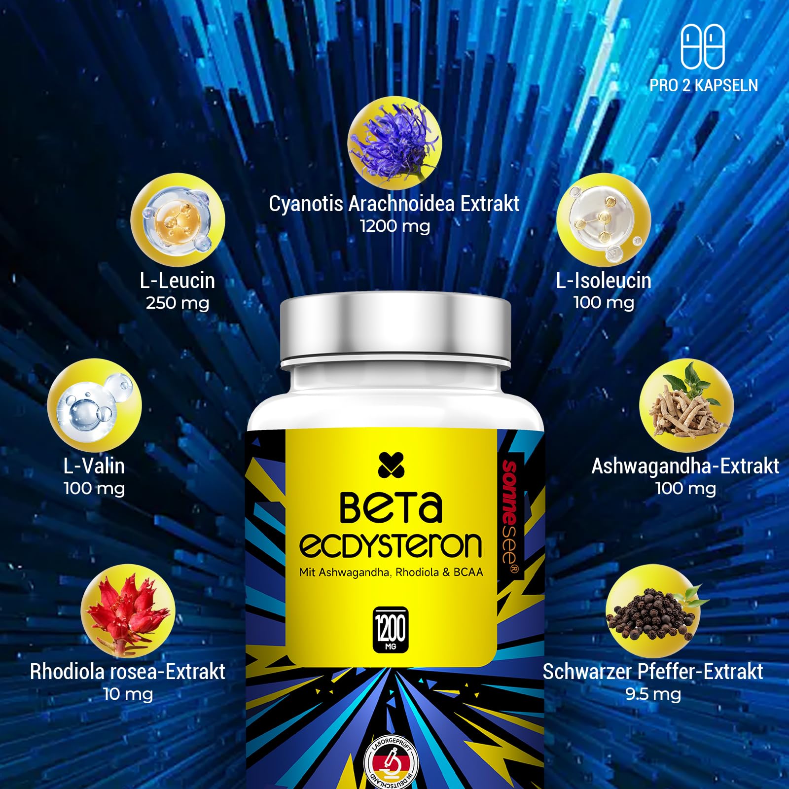 Beta-Ecdysteron-haltiger Pflanzenextrakt 1200 mg – Mit Ashwagandha, Rhodiola & BCAA – 90 Kapseln – Hochdosiert, Vegan, Laborgeprüft
