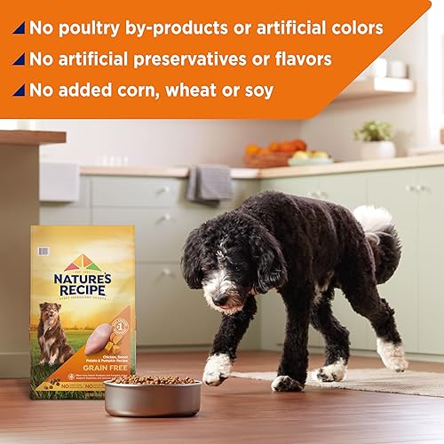 Miniatura 6 de Natures Recipe Alimento seco para perros sin granos fácil de digerir con carne real batata y calabaza