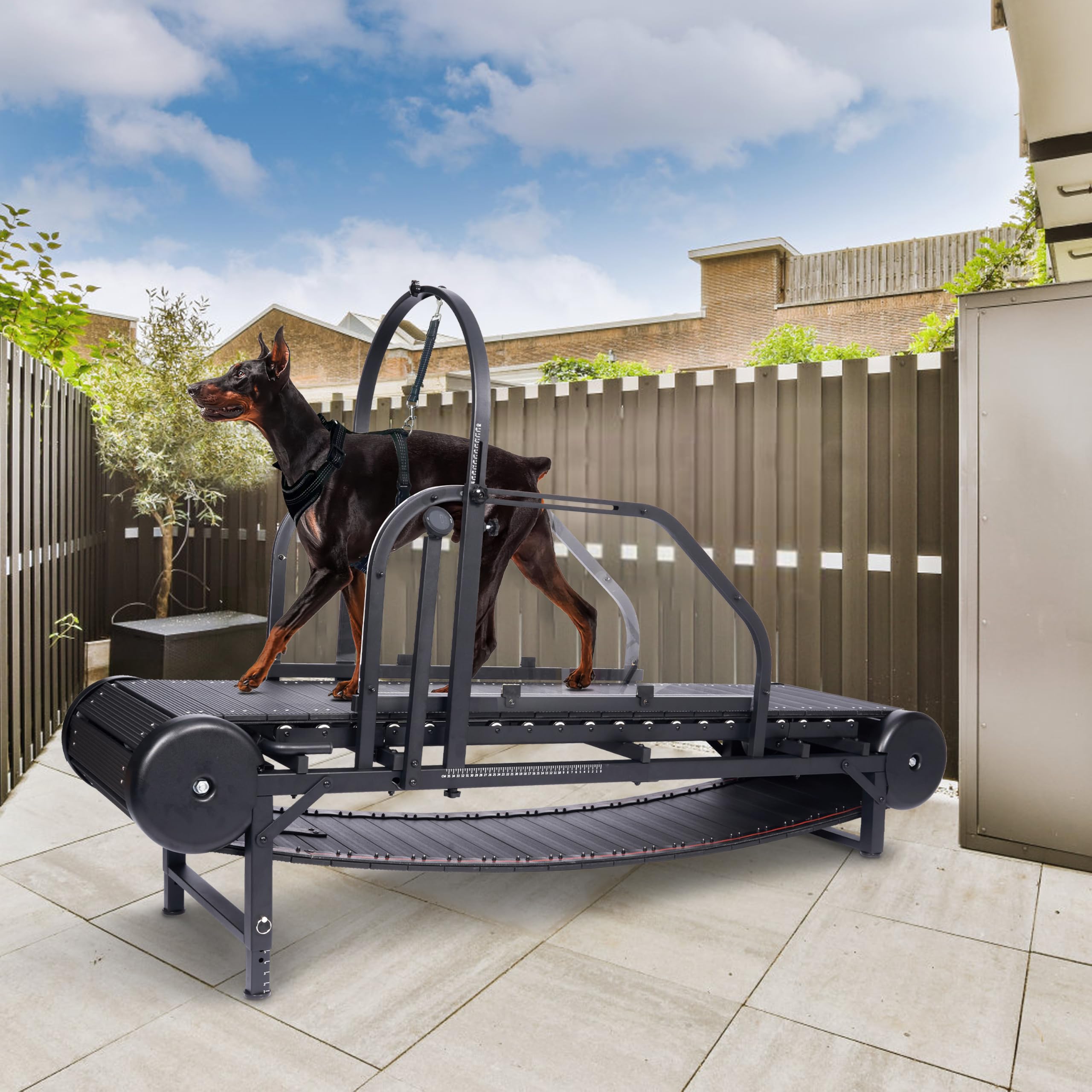 Kolmmeo Dog Treadmill for Large Dogs