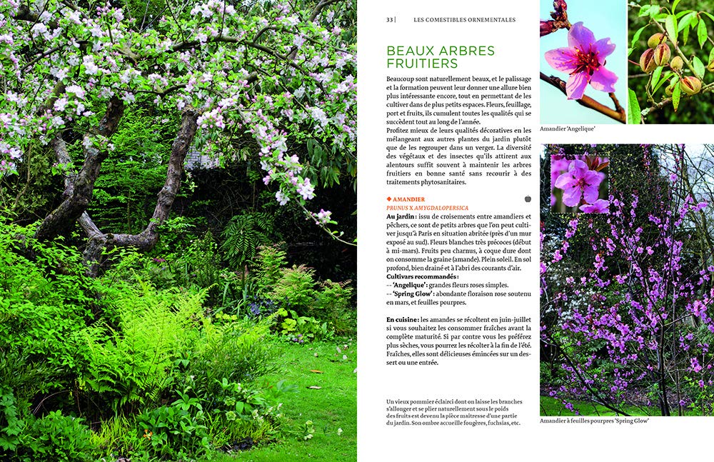 Toutes les plantes belles et comestibles