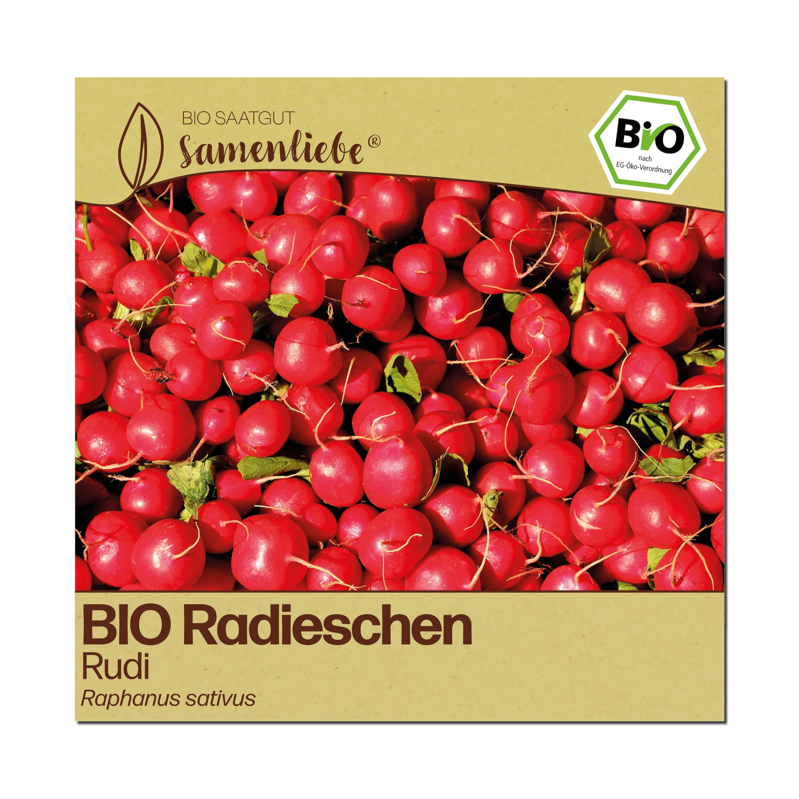 Samenliebe BIO Radieschen Samen | Rudi - mild & rund - samenfestes BIO Saatgut