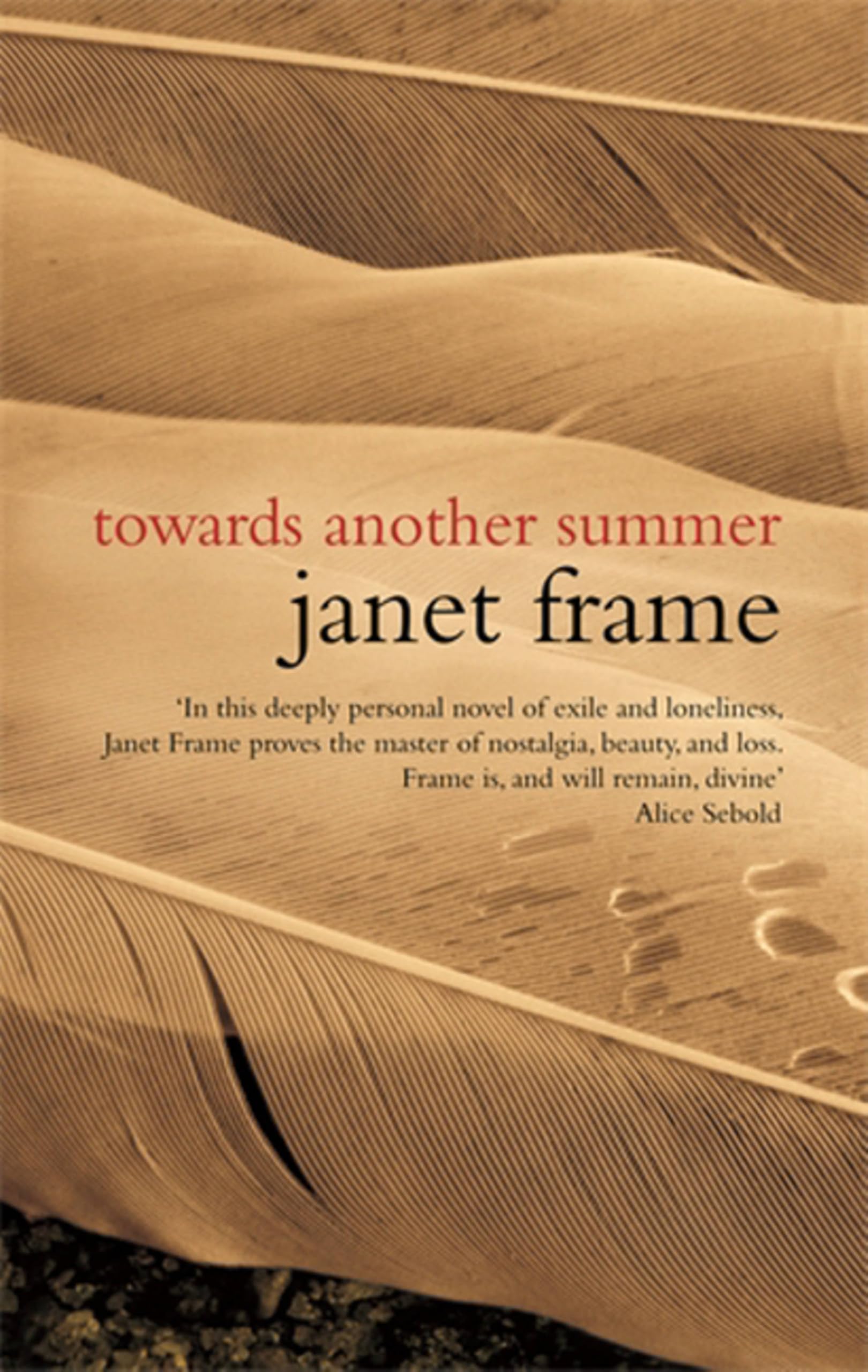 Towards Another Summer by Janet Frame PAPERBACK 9781844085095