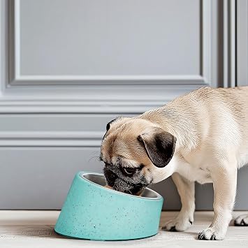 Bzyoo 2 Cup Tilted Dog Bowl with Measuring Scoop for Small Dogs & Cats, Stylish Sprinkle Design, Elevated, Stainless Steel 16oz Inner Bowl, Non-Skid, Help Cotain Spills Color:Green