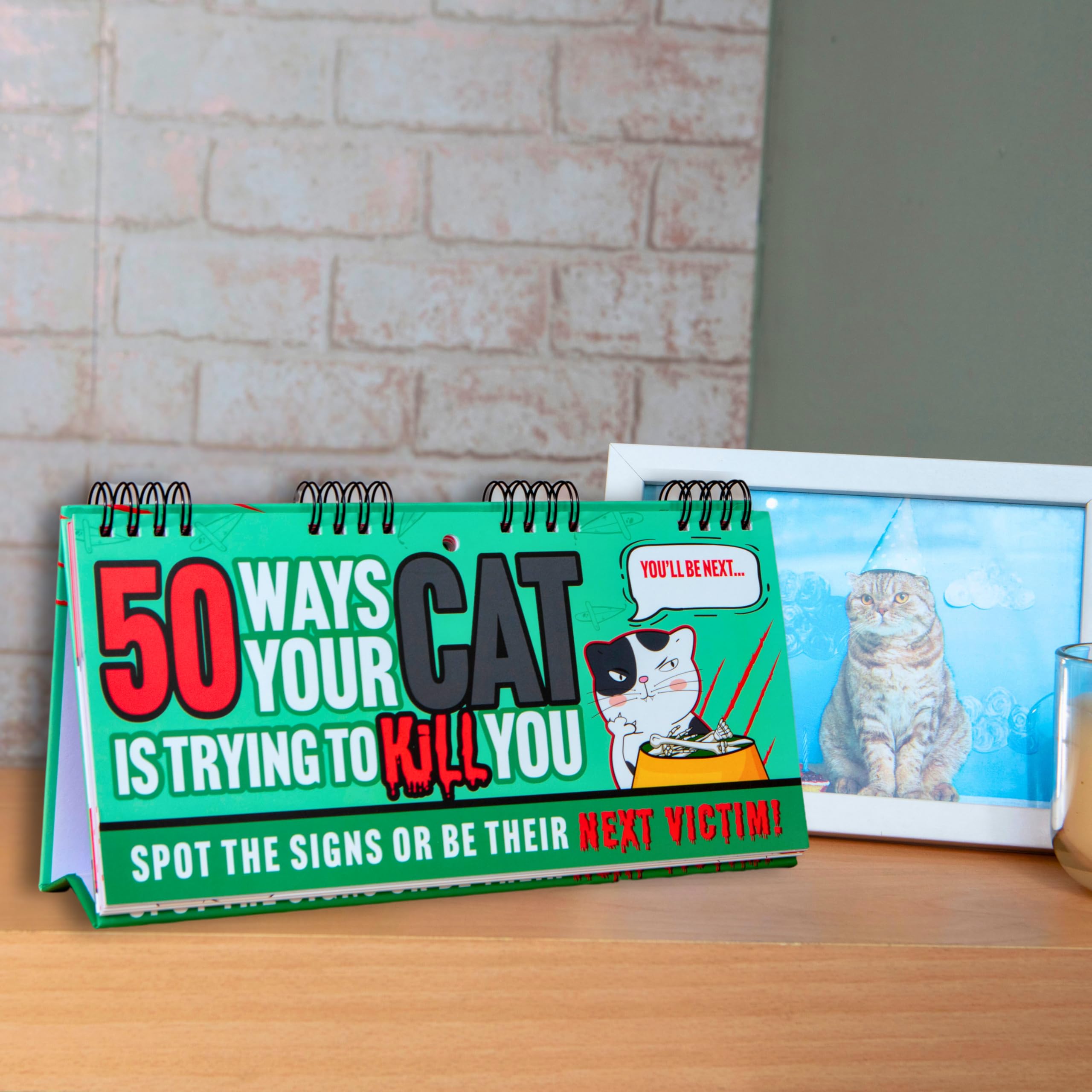 Boxer Gifts – Das Verrückte Kartenspiel 'How To Tell If Your Cat Is Trying To Kill You' – Lustiges Geschenk Für Katzenliebhaber Inkl. Katzenminze-Spielzeug Boxer Gifts – Das Verrückte Kartenspiel 'How To Tell If Your Cat Is Trying To Kill You' – Lustiges Geschenk Für Katzenliebhaber Inkl. Katzenminze-Spielzeug