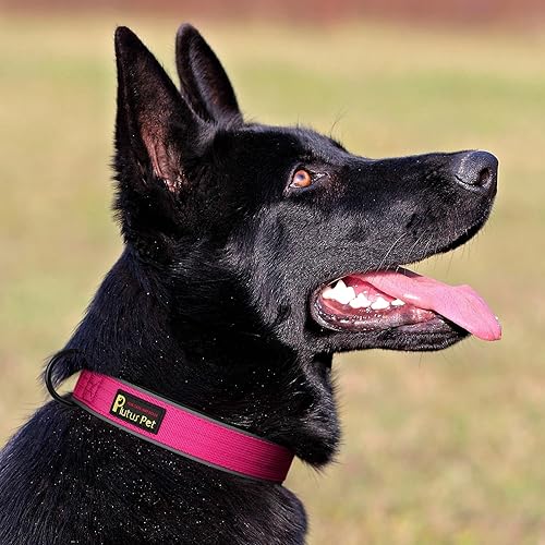 Miniatura 6 de Plutus Pet Collar táctico para perro, reflectante, ajustable, resistente, acolchado suave y cómodo, para perros pequeños, medianos y grandes (rosa