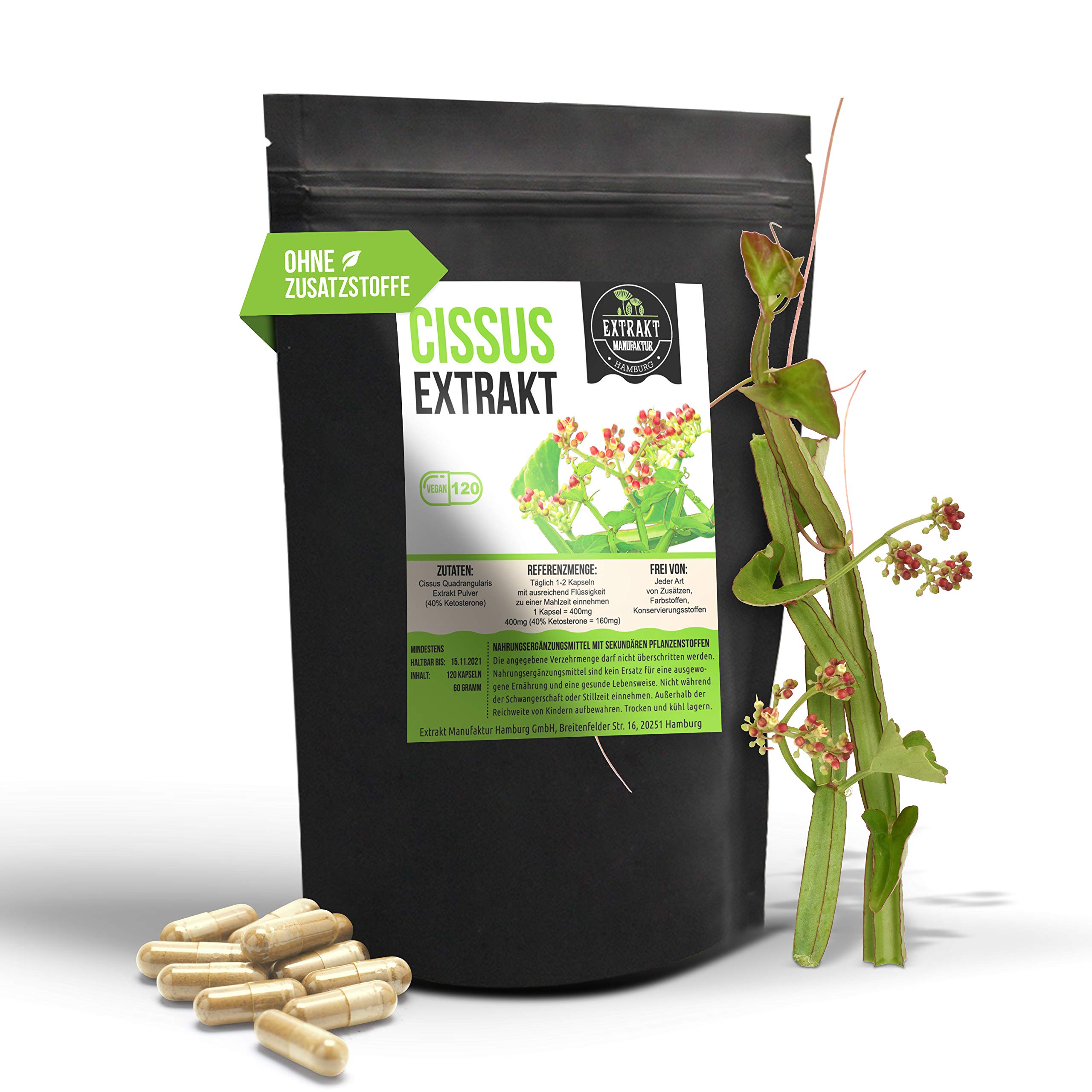 Cissus Quadrangularis EXTRAKT 120 vegan KAPSELN 400mg 40 Prozent Ketosterone ohne Zusätze in Deutschland hergestellt (Kapseln 120 Stk.)