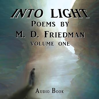 Into Light Volume One Audiobook by M. D. Friedman episode artwork