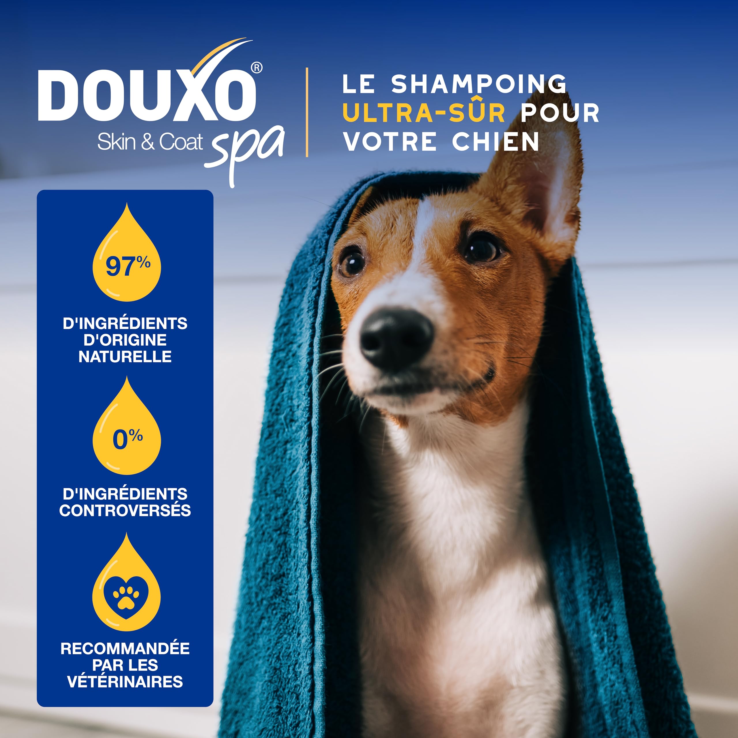 DOUXO Skin & Coat Spa - Ultra-Safe Shampoing hydratant pour Chien, 250mL, Nettoie et Hydrate la Peau Profondeur, Laisse Le Pelage Doux et éclatant, Formule respectueuse de la Peau.