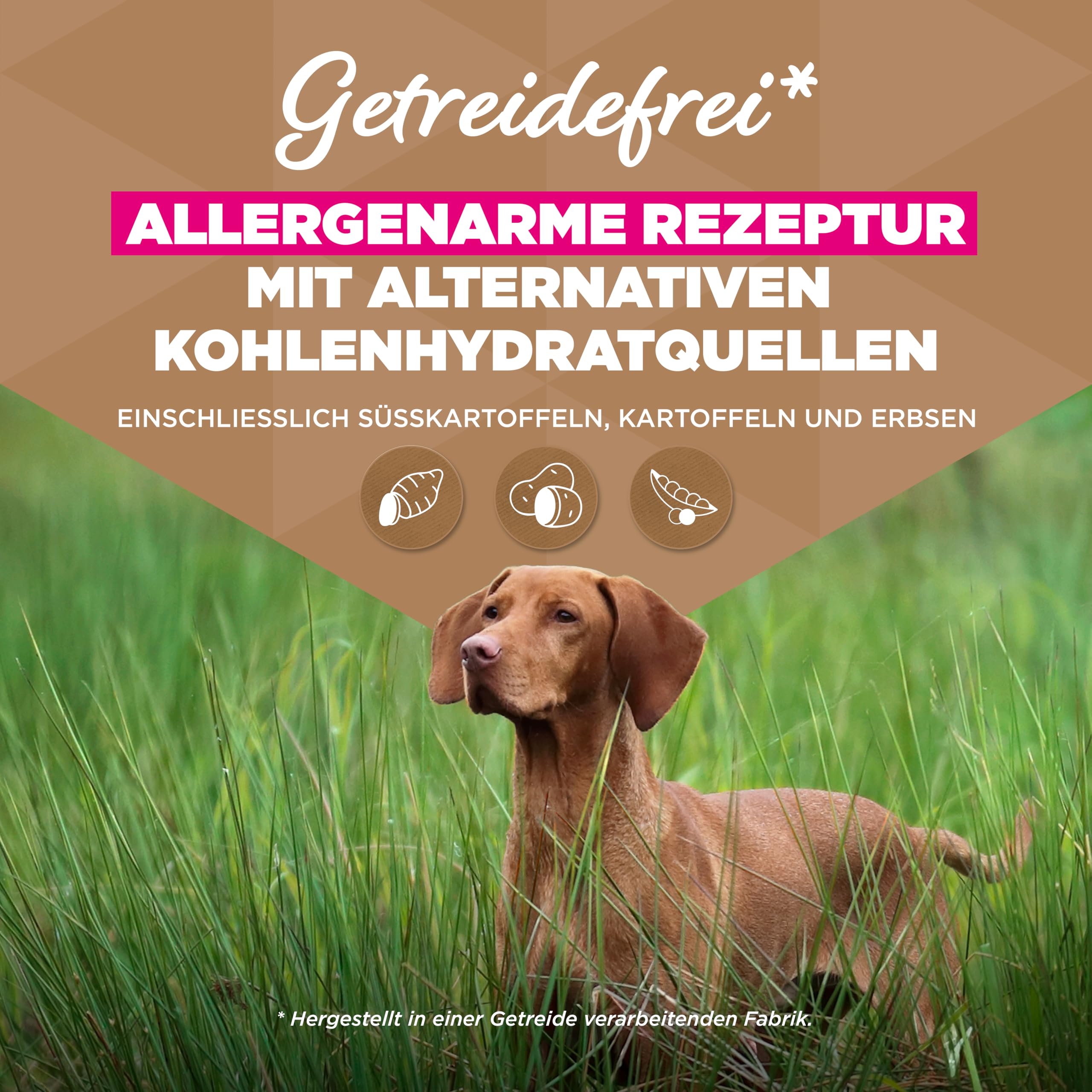 Eukanuba Hundefutter getreidefrei mit Fisch für große Rassen, Premium Trockenfutter ohne Getreide für ausgewachsene Hunde, 12 kg