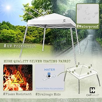 HUGE 80冊 Bright Pop Twin to Full Daybed and Trundle, Black | 4151639N