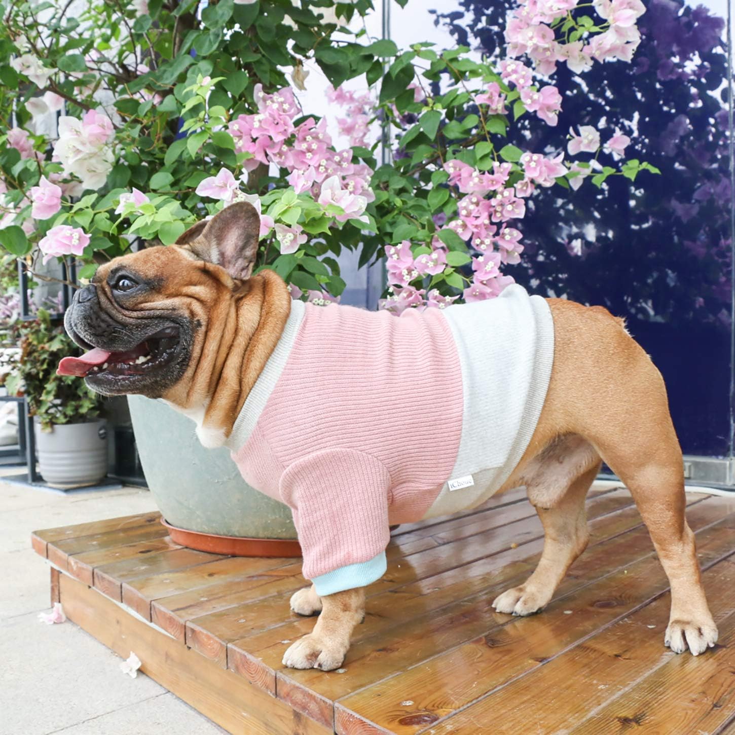 iChoue Pet Dog Crewneck Sweater Color Block Pullover Winter Warm Clothes for English Bulldog Bully Pitbull - Pink and Grey/XXLarge