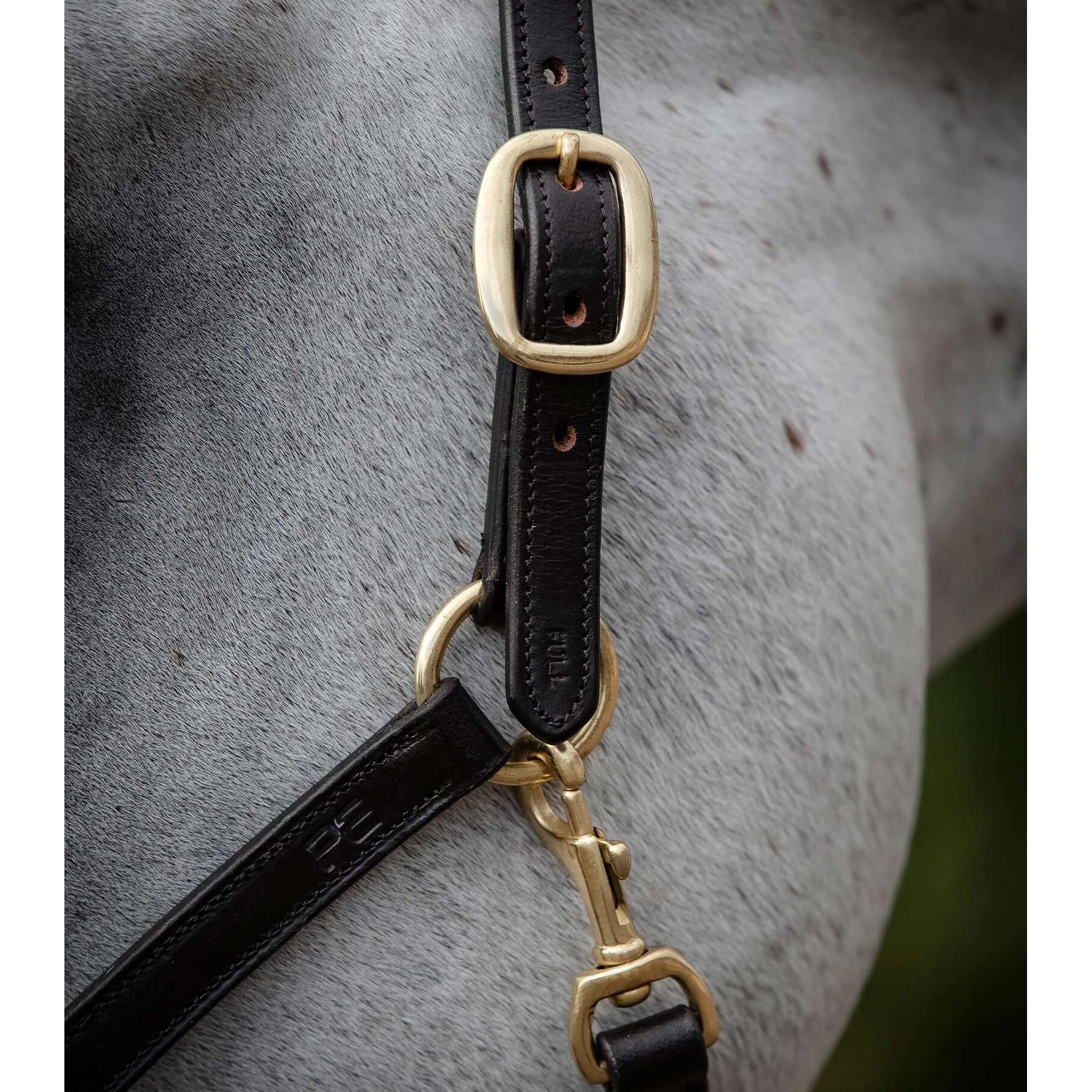Premier Equine Cavallo imbottito in pelle