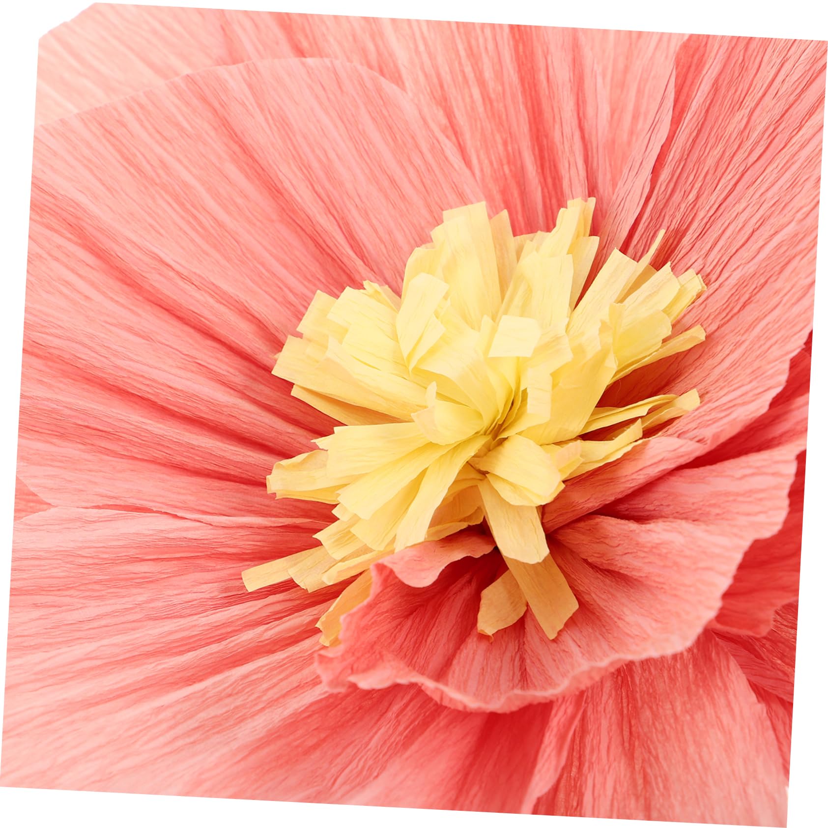 PRETYZOOM 24 Pièces Fleurs en Papier Crépon 3D, Décoratives, Papier