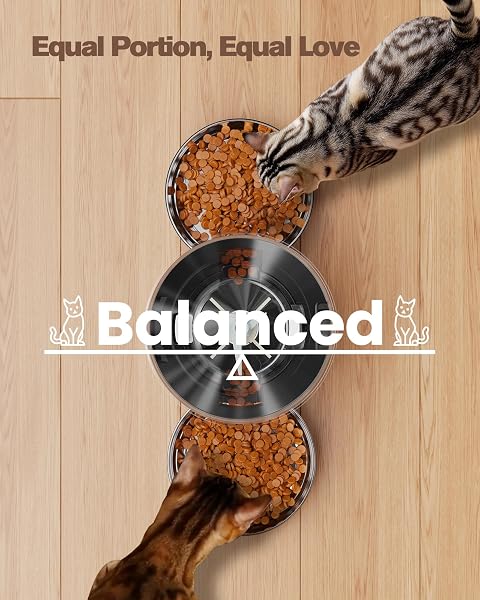 Automatic Cat Feeder Double Bowls: Stainless Steel Cat Food Dispenser – 5L Dog Feeder with Programmable Timer for Indoor – Food Dispenser for Small/Medium Pets - 2
