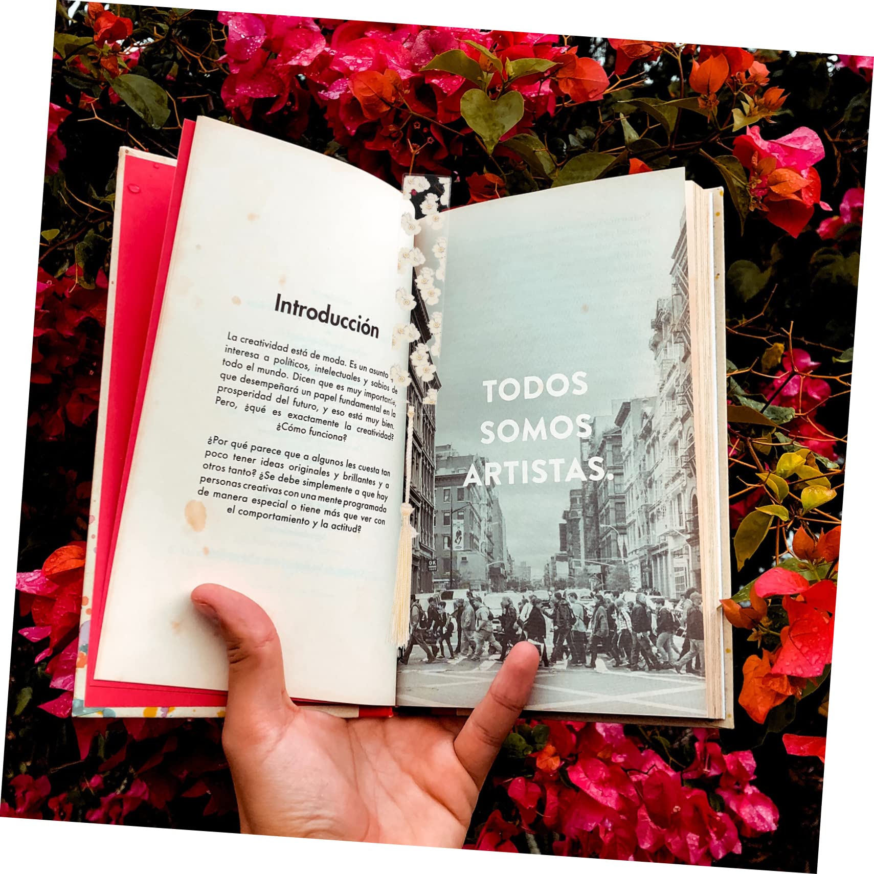 Operitacx 5pezzi Segnalibro Epossidica Con Fiori Secchi Accessorio Decorativo Per Lettura e Artigianato Con Nappa Inclusa Per Studenti e Amanti Dei Libri