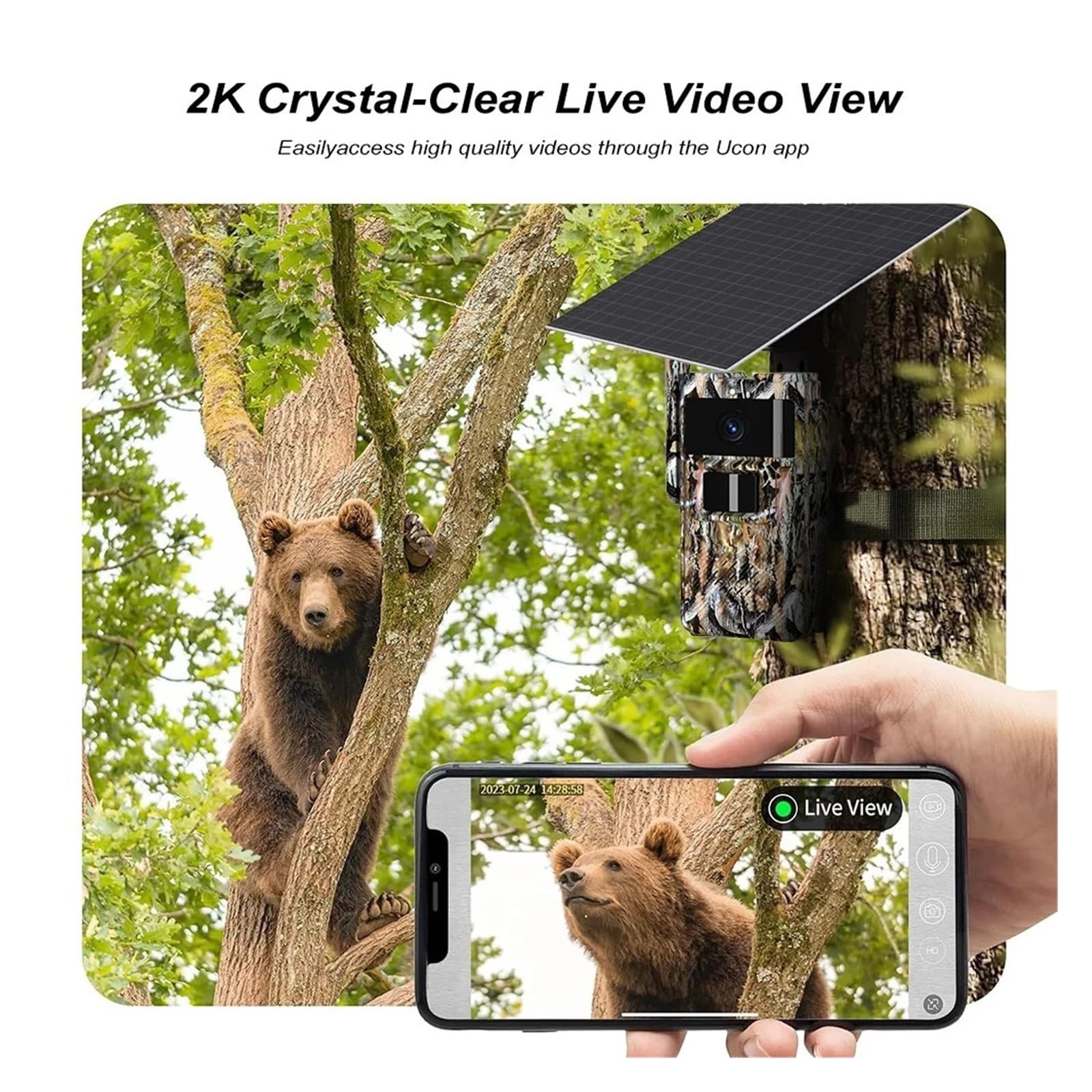 Cámara Vida Silvestre Cámara De Rastreo con Energía Solar 4G 2K, Imágenes 14MP, Visión Nocturna IR, Caza Impermeable IP66 For Monitoreo Vida Silvestre Monitoreo Confiable Preciso(4G Trail CAM)