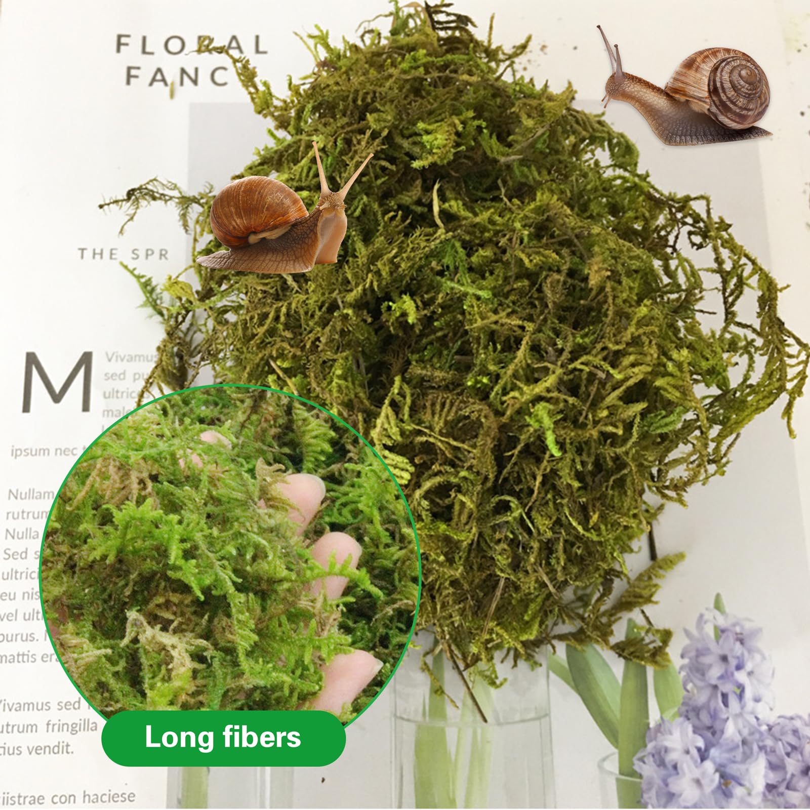 Naturalny mech premium dla gadów, zielony mech, mata mchowa, dekoracja do terrarium, ślimaków, żab, pustelników, żółwi