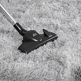 AROGAN Luxury Soft Area Rugs for Bedroom Living Room Plush Shag Rug 4x6 Feet, Grey Fluffy Rug for Kids Girls Playroom Dorm, Shag Shag Fuzzy Carpets Plush Rug for Teen Boys Nursery