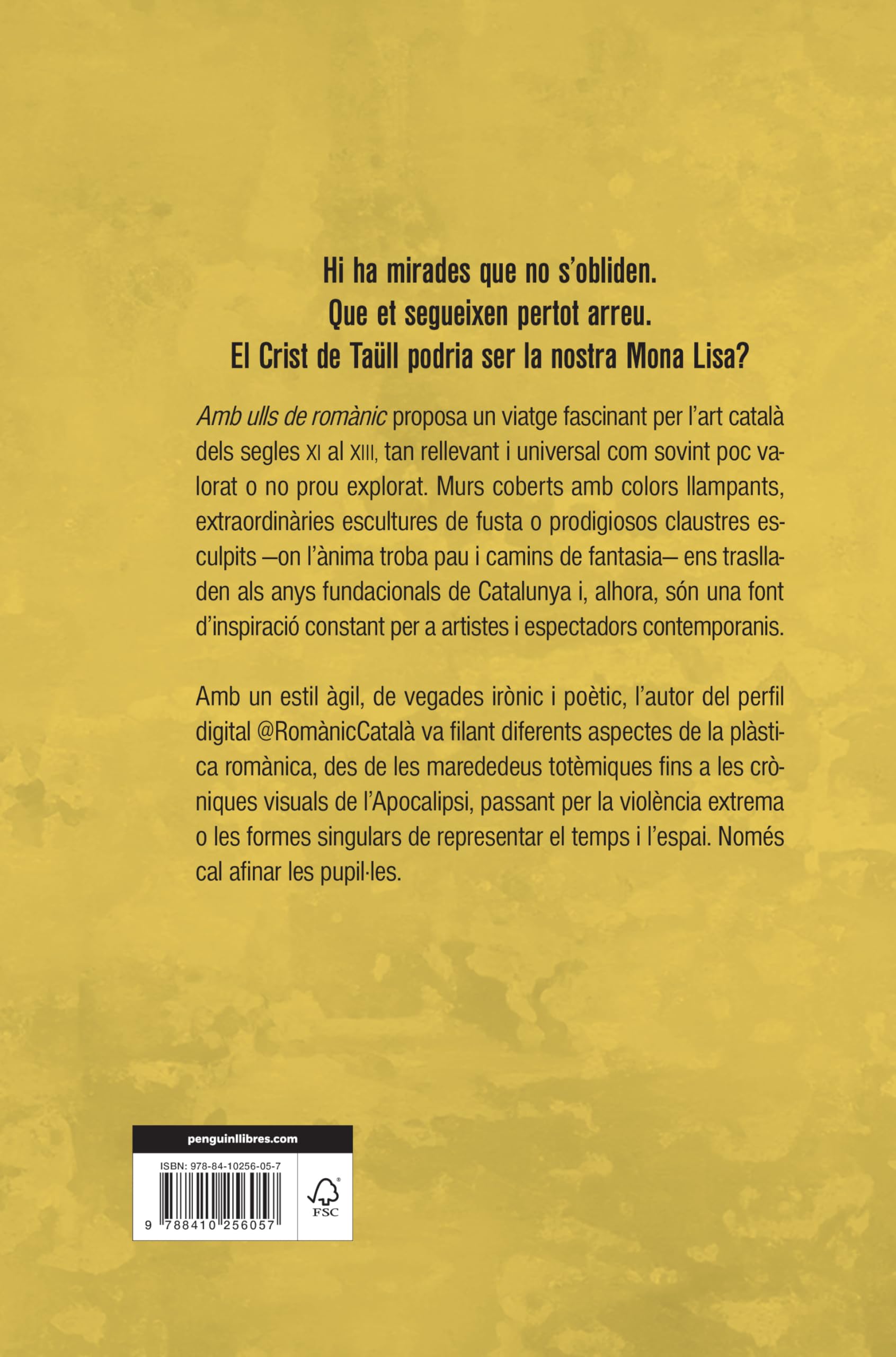 Amb ulls de romànic (Divulgació)