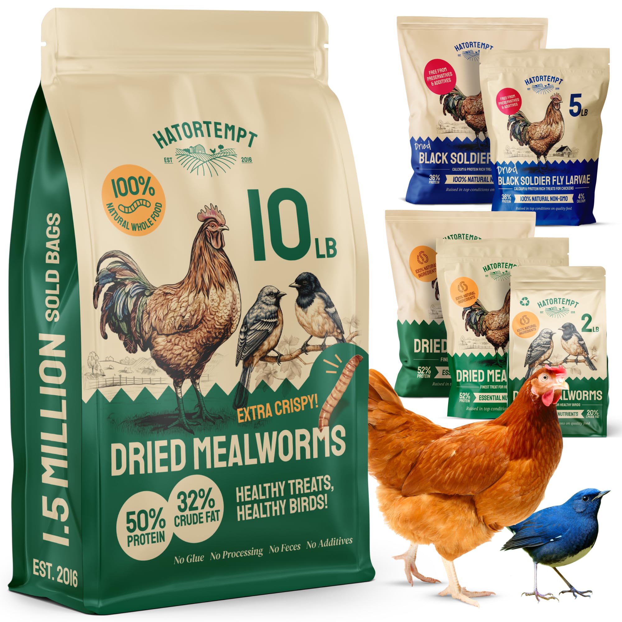 10lbs Bulk Non-GMO Dried Mealworms for Reptile, Tortoise ; Amphibian,Lizard;Wild Birds; Chichens; Duck etc