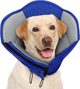 AOFITEE Dog Cone Adjustable Large Cone for Dogs After Surgery, Blue L