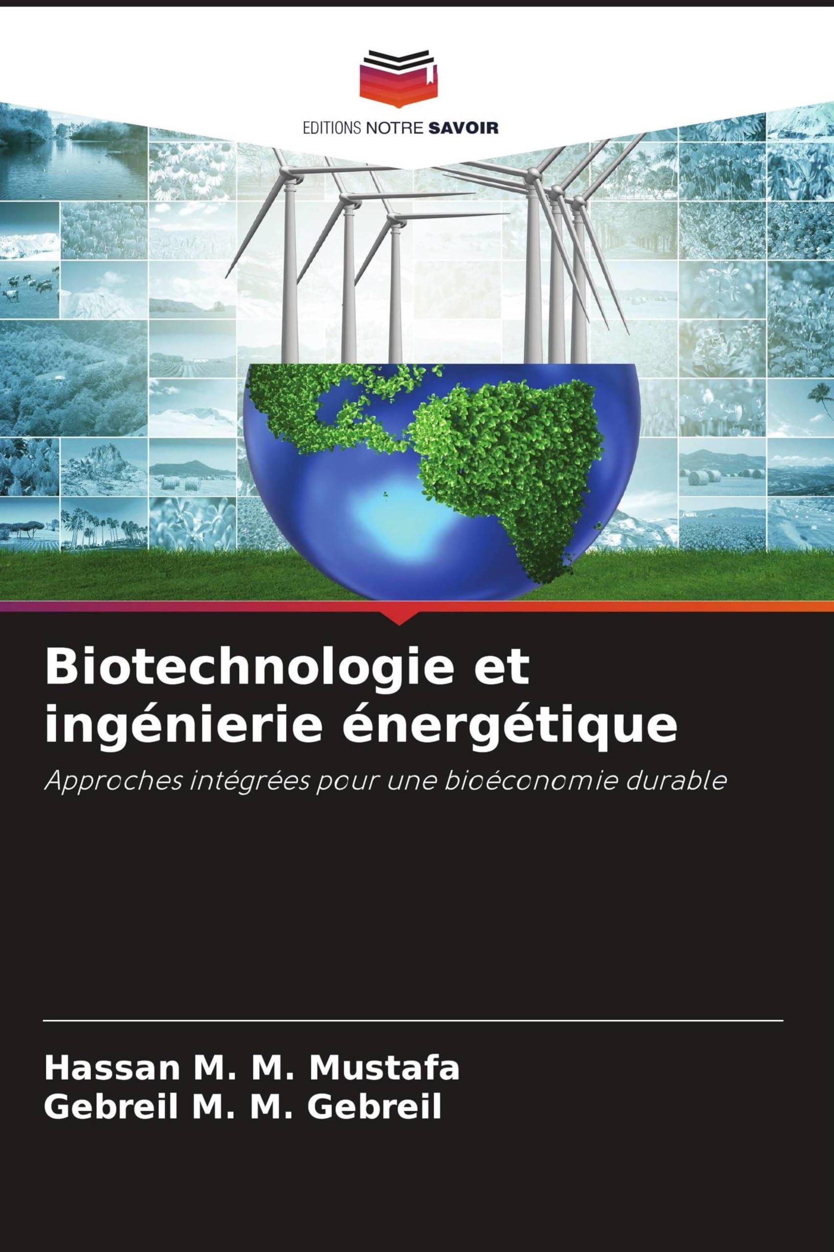 Biotechnologie et ingénierie énergétique: Approches intégrées pour une bioéconomie durable