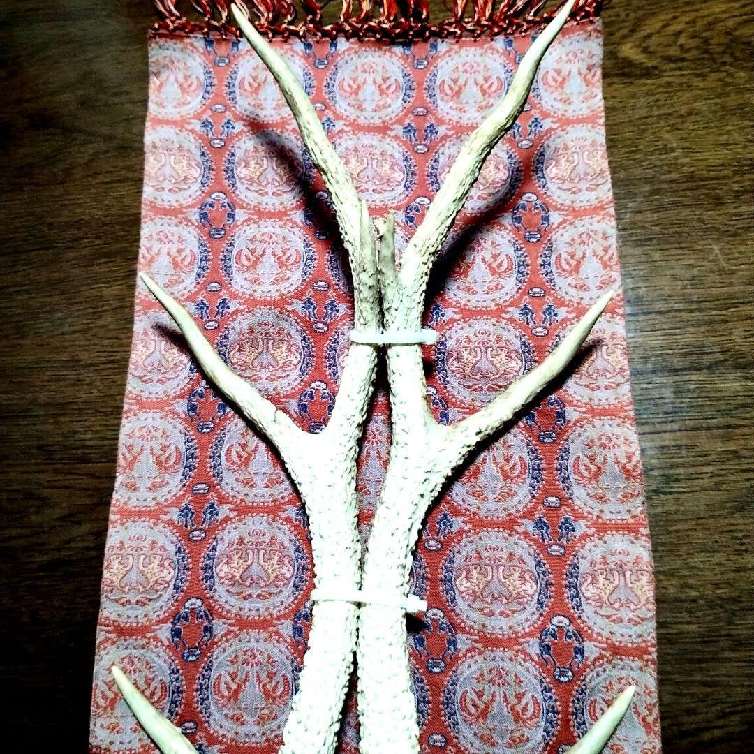 Amazon.co.jp: 珍品 奈良公園の鹿の角一対 高さ約42cm : ホーム