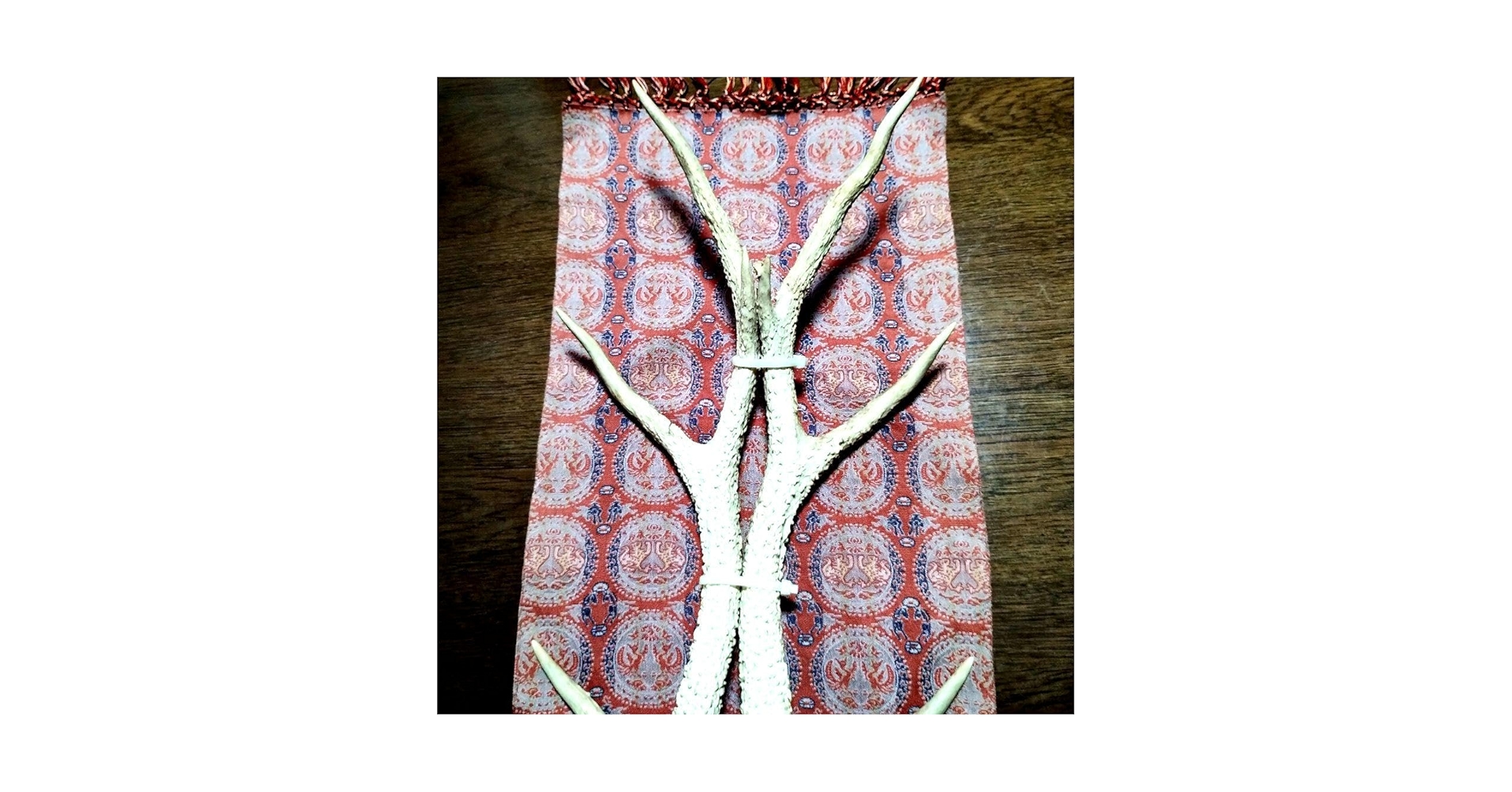 Amazon.co.jp: 珍品 奈良公園の鹿の角一対 高さ約42cm : ホーム