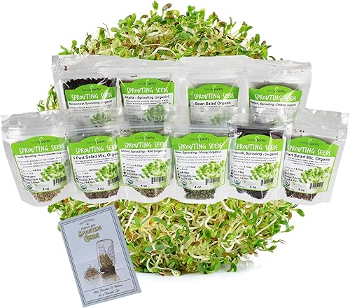 Super Sampler de semillas germinadas orgánicas 25 libras de 10 deliciosas semillas de brotes diferentes alfalfa frijol mung brócoli lentejas verdes