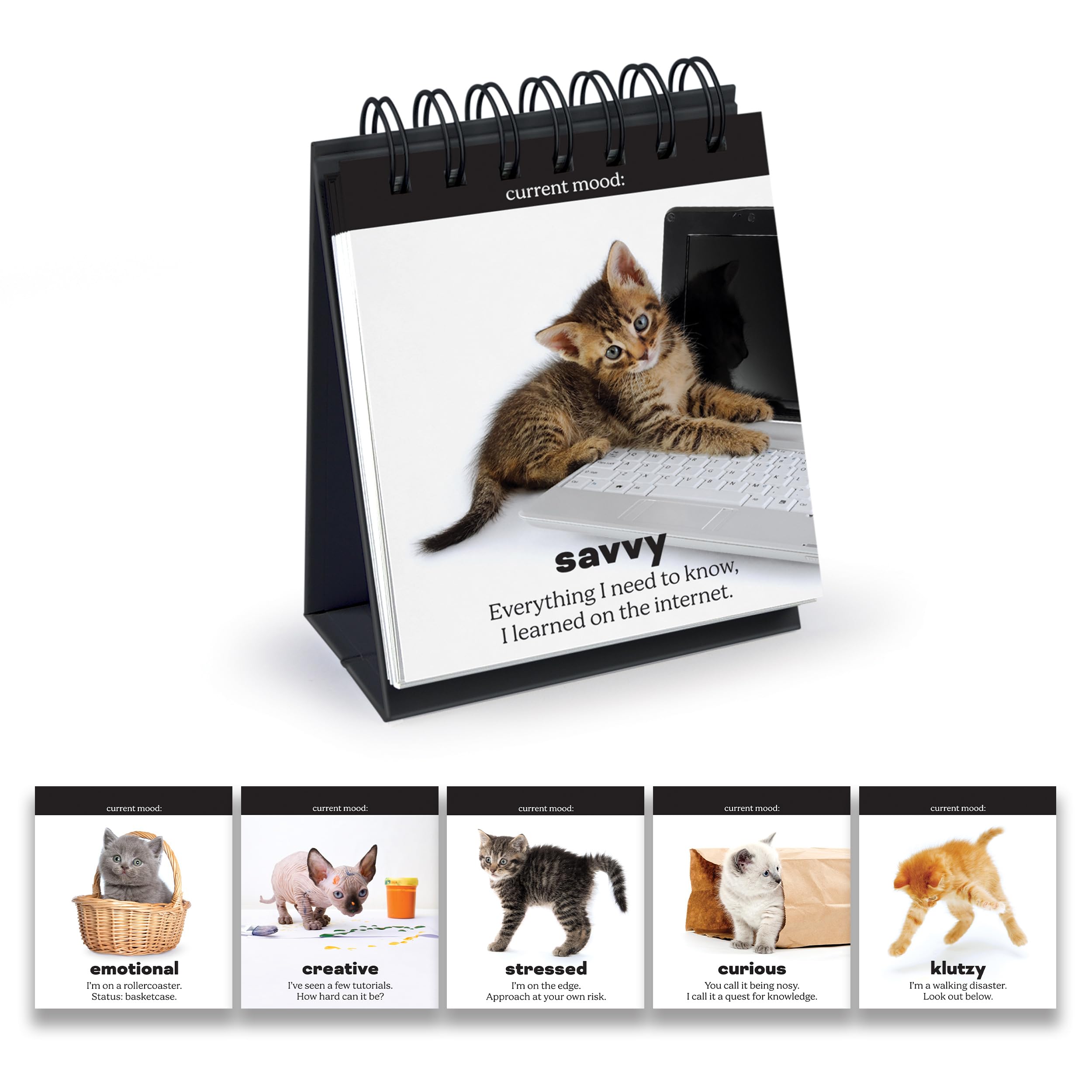 Genuine Fred Tableau de conférence Daily Cattitude Desktop
