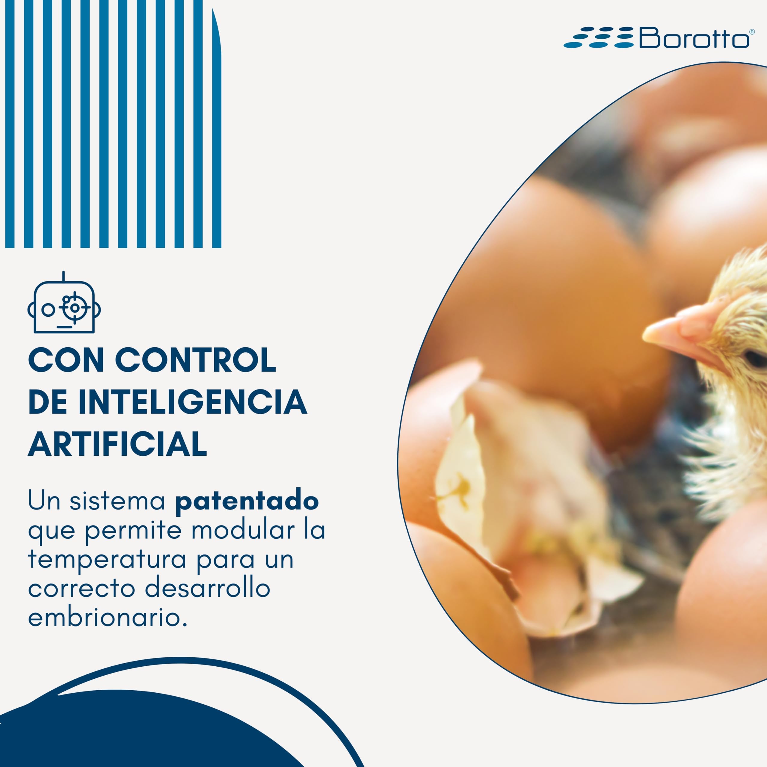 Borotto Real 24 Expert | Incubadora de Huevos Automática Profesional Patentada 24 Huevos o 96 Pequeños con Volteador de Huevos Automático, Control Temperatura, Humidificador Sirio | Made in Italy