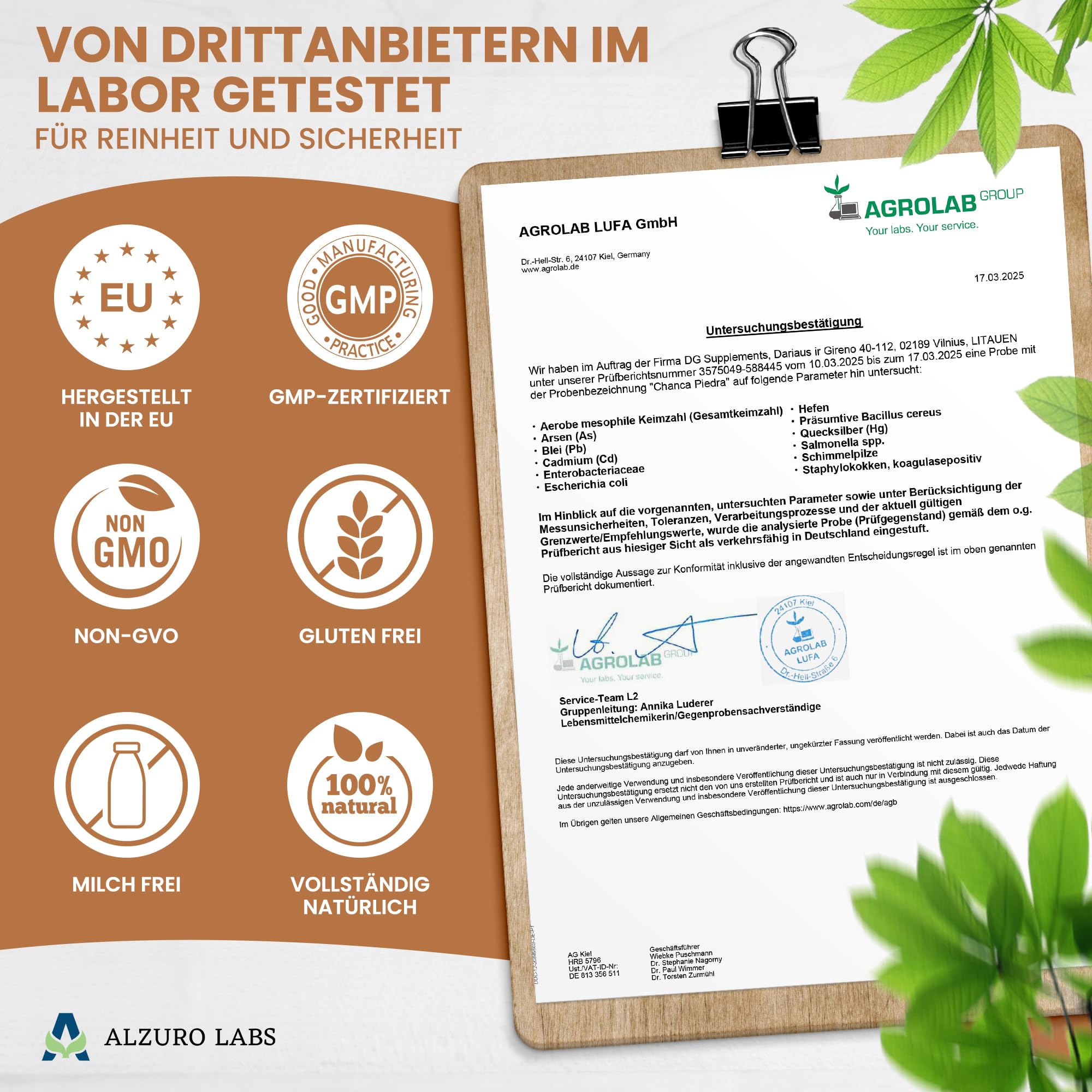 Chanca Piedra – Phyllanthus niruri | 5.000 mg Äquivalent | Hochdosiert 500 mg 10:1 Extrakt | 120 vegane Kapseln | GMP & Laborgeprüft