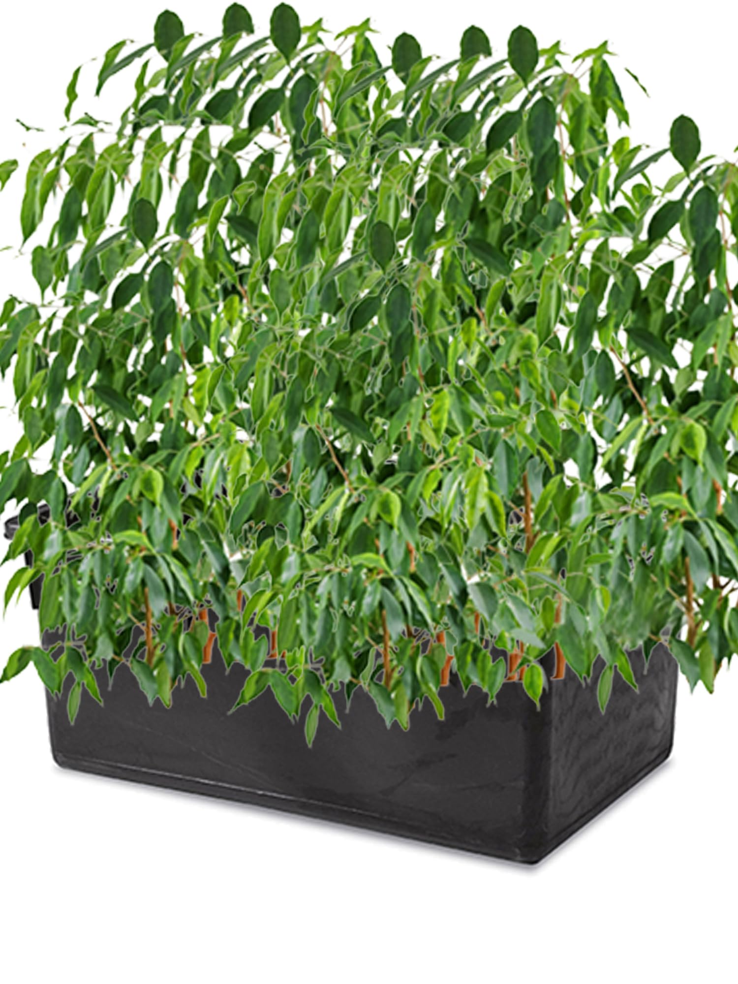 Contenitore Rett.Lt.180 Nero