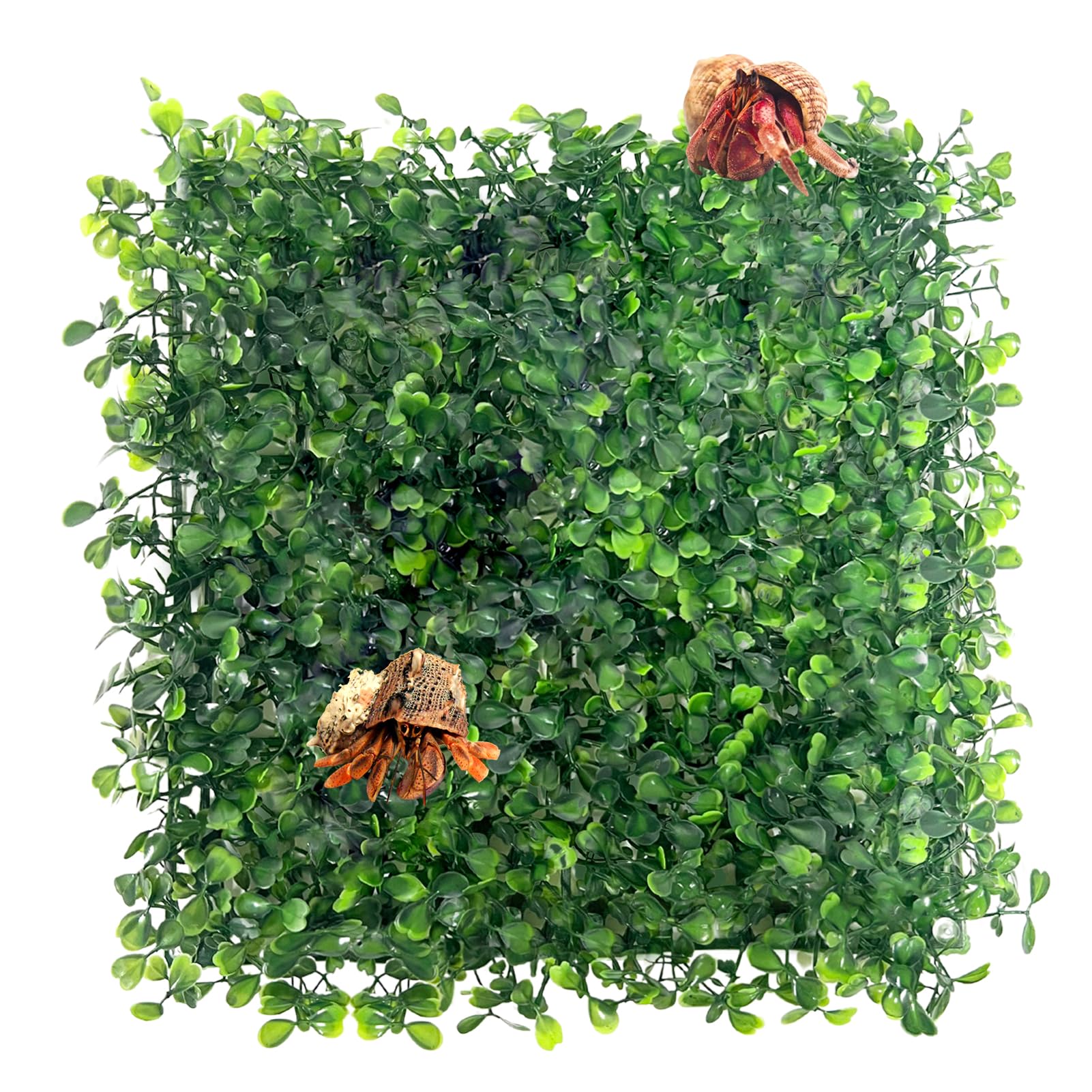 FMOACENHermit Crab Climbing Toys, Plastic Simulation Grass Aquarium Tank Decoration with 4 Suction Cups, Hermit Crab Green Plants Supplies Fake Turf, Accessories for Hermit Crab Reptile 10 x 10 Inch