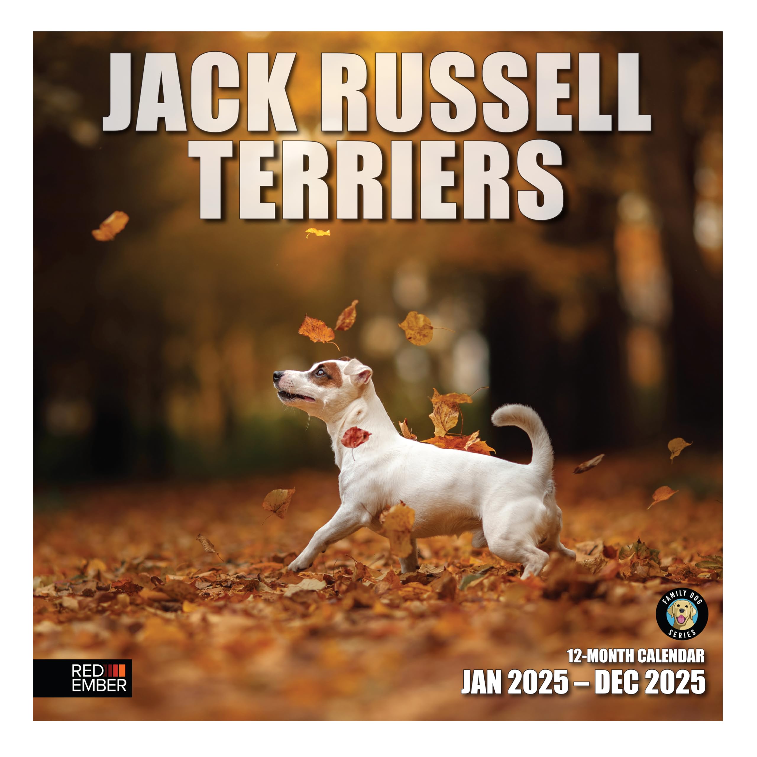 RED EMBER Jack Russell Terriers 2025 Hangable Monthly Wall Calendar | 12" x 24" Open | Thick & Sturdy Paper | Giftable