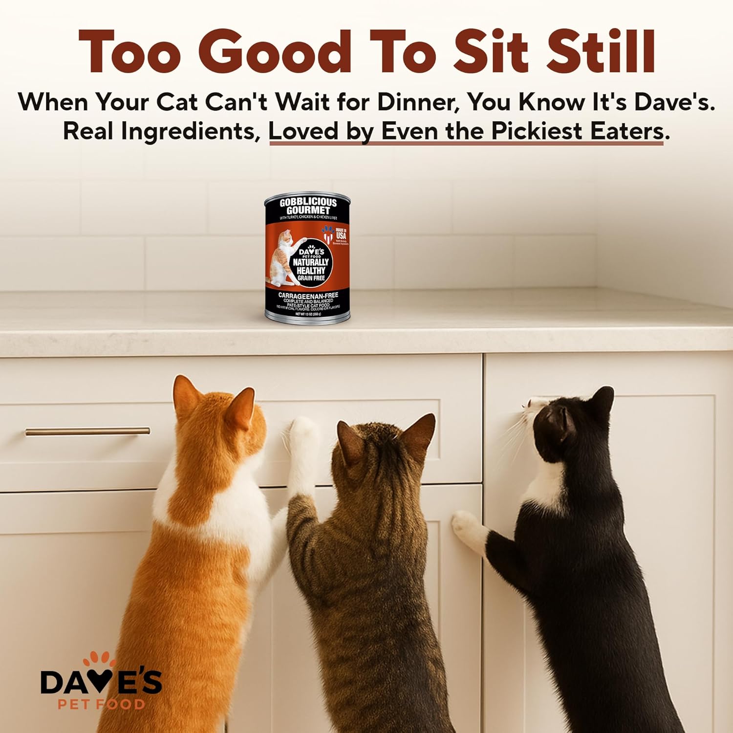 Dave's Pet Food Grain Free Wet Canned Cat Food Pate (Gobblicious Gourmet), Made in USA Naturally Healthy, Added Vitamins & Minerals, 13 oz Cans (12 Pack)