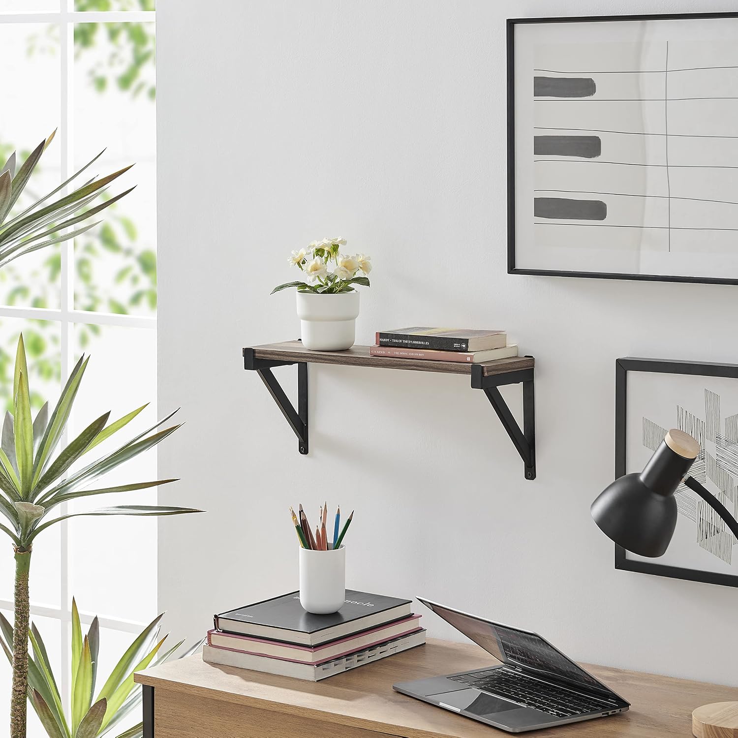 Danya B. Genoa Floating Shelf, Wall Mounted, Rustic, Industrial Wood Wall Shelf with Black Iron Triangular Brackets for Bedroom, Living Room, Bathroom, Kitchen, Office