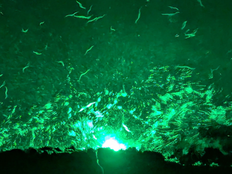 Amazon.co.jp: Allgu Super Strong Fishing Light 15W 2520 Lumens USB