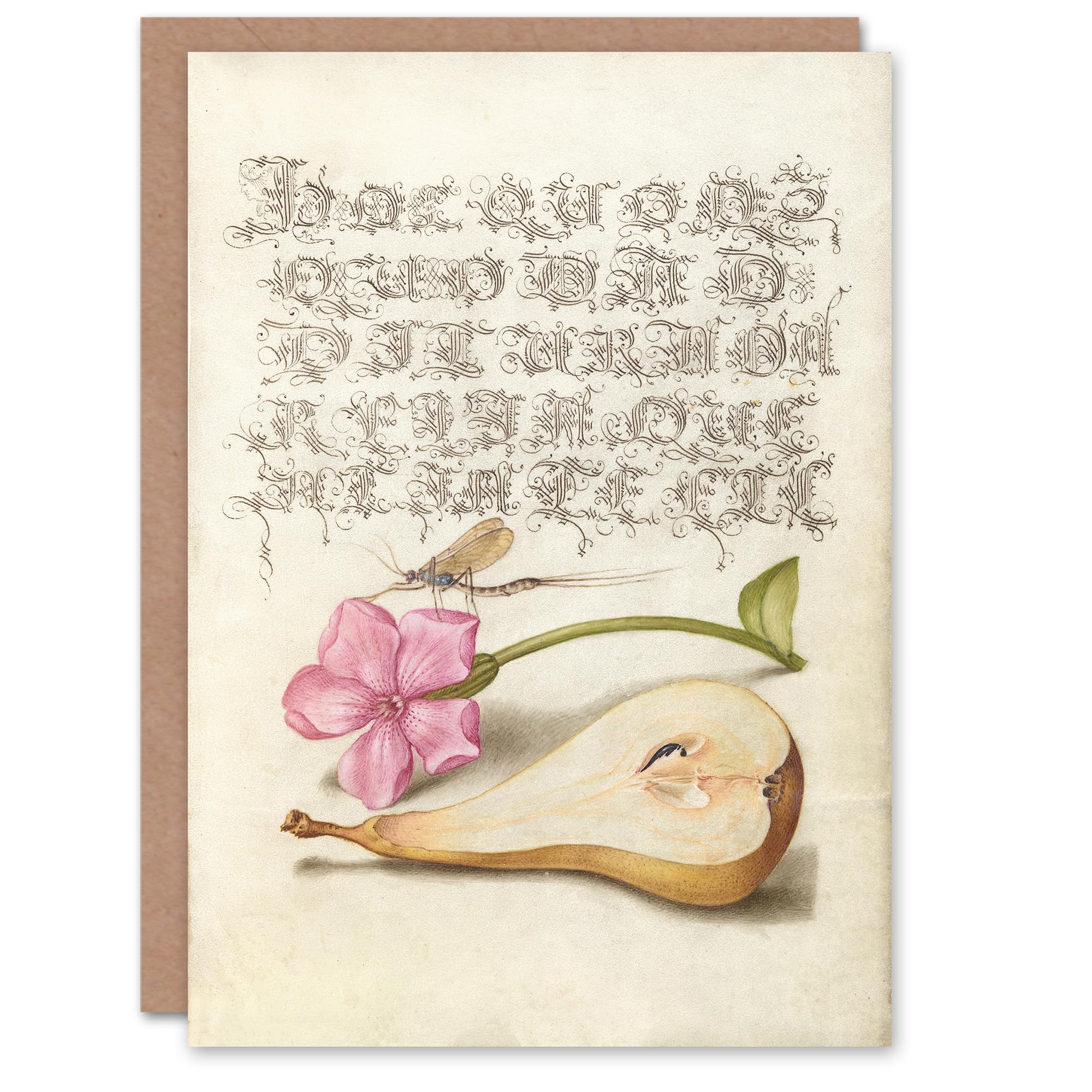 Artery8 Art Card Mayfly Red Campion and Pear Model Book of Calligraphy