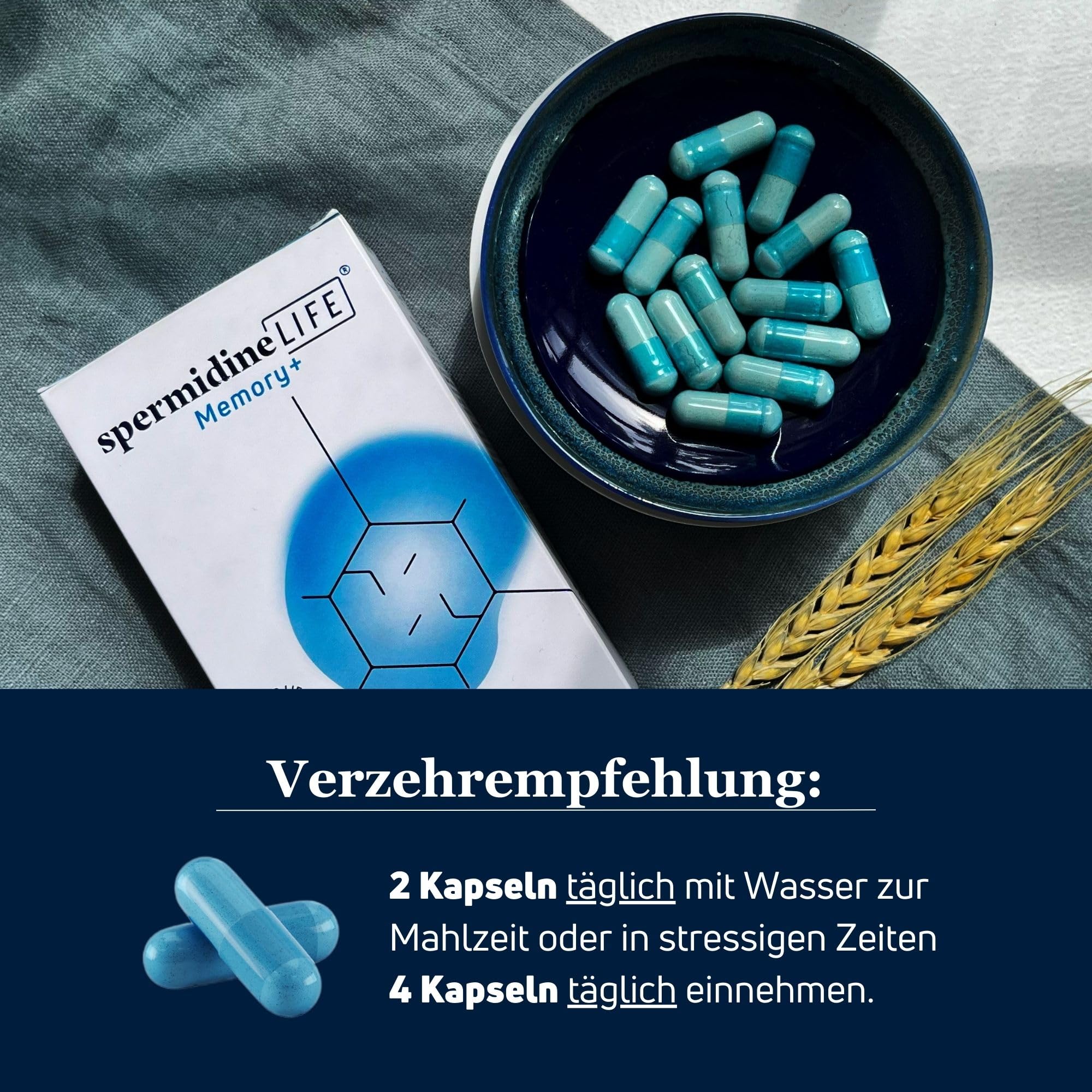 spermidineLIFE® Memory + Confezione da 3 - Con spermidina da estratto naturale di germe di grano, polvere di Brahmi biologica ed estratto di zafferano per sostenere il rinnovamento cellulare e le