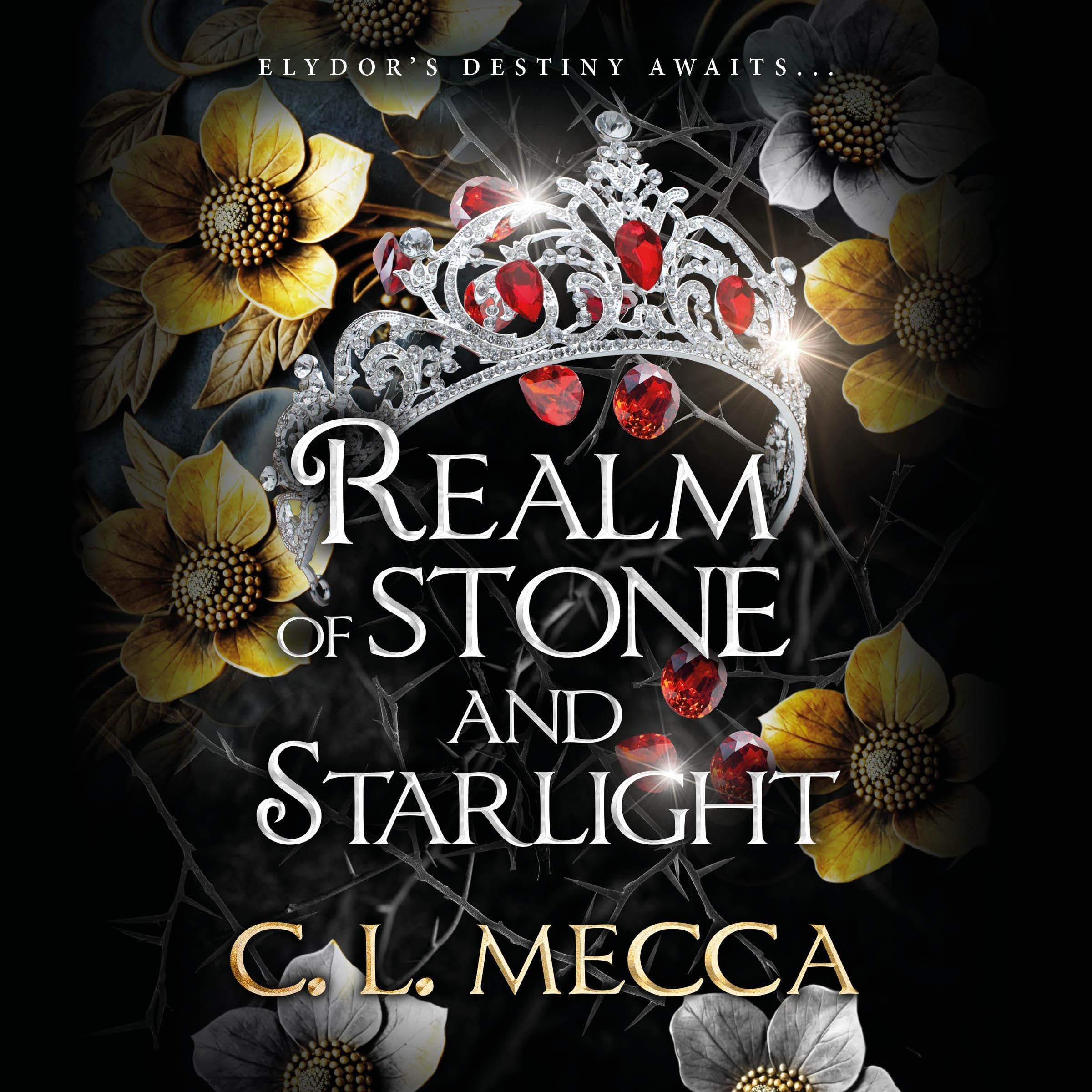 Cover art for Realm of Stone and Starlight