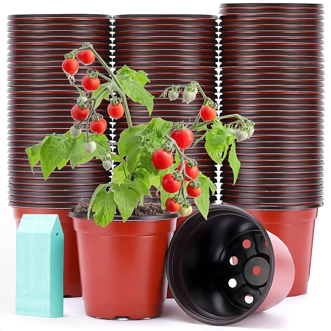 Sfee 100个园艺塑料花盆，适用于多种植物苗木及转移