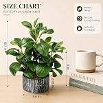 Der Rose 15.7" Artificial Plants for Decor Indoor Money Leaf Fake Plant in Pot for Desk Shelf Office Bedroom Apartment Decor