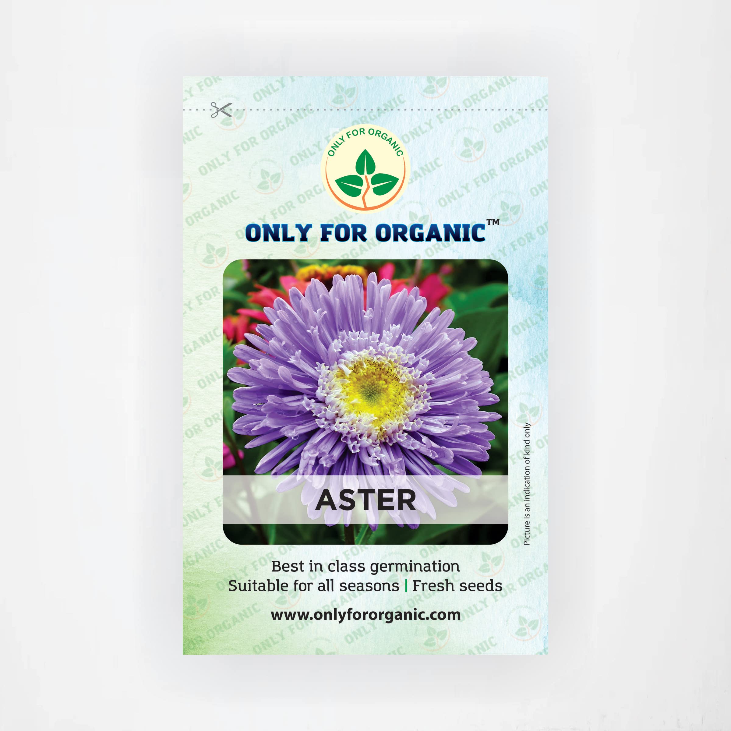 Only For Organic Aster Flower Seeds (50 Nos) (B09Z88RC97) Amazon Price History, Amazon Price Tracker