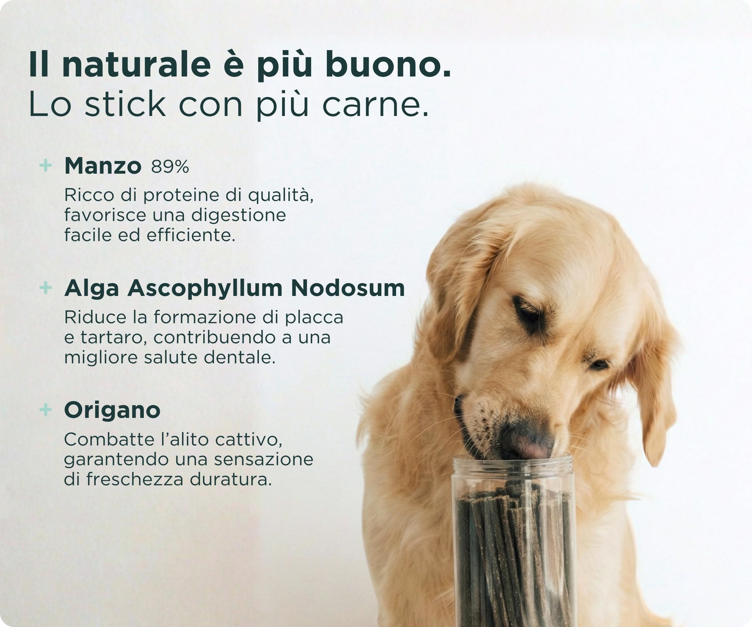Wolf Belly - Dental Stick per Cani Naturali (28 pz) 89% Manzo Senza Cereali | Igiene Dentale & Alito Fresco | Ascophyllum Nodosum | Delizioso Sapore di Carne | Ricco di Proteine - Prodotto in Europa