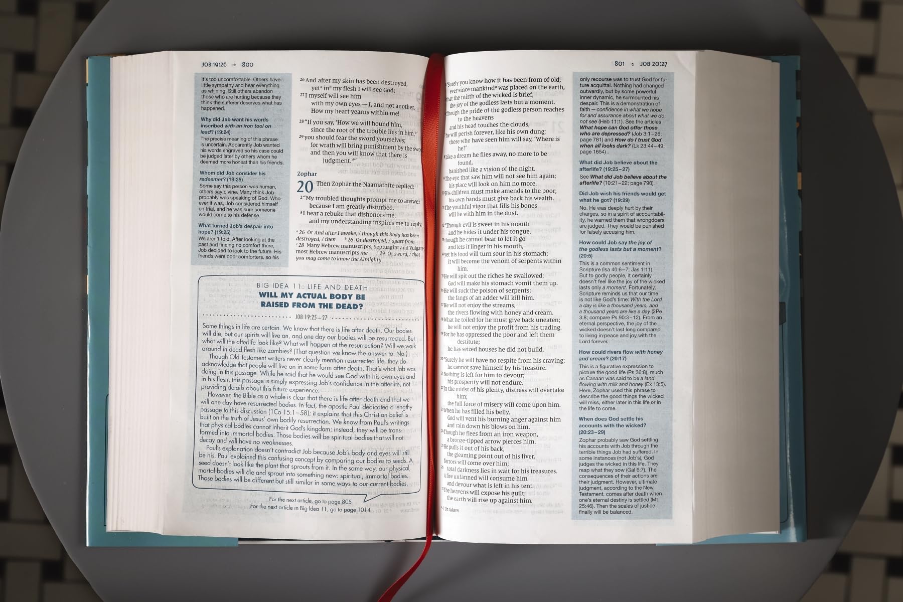 Holy Bible: New International Version, Quest Study Bible for Teens, The Question and Answer Bible, Comfort Print, Charts and Maps, Satin Ribbon Marker