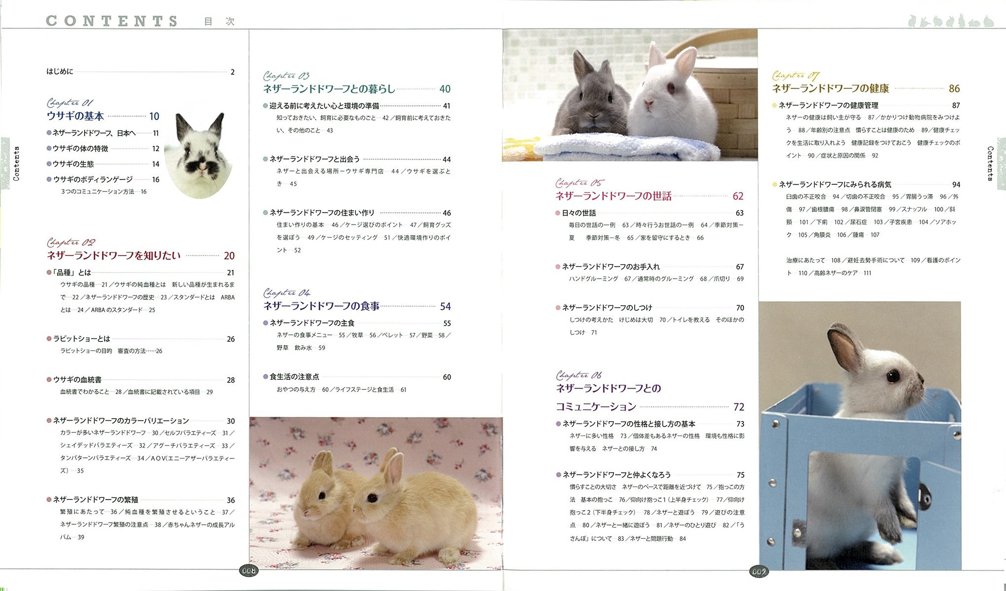 ネザーランドドワーフ ウサギの品種別飼育ガイド Iy3pd4gqol 本 雑誌 コミック Orthodoxdevon Org