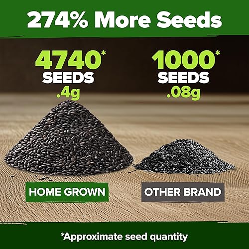 Miniatura 3 de HOME GROWN Semillas de menta 2 unidades (Mentha × piperita) 4,740 semillas de menta reliquia para plantar Crece en interiores o exteriores,